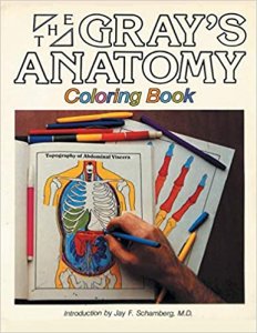 Gray&#039;s Anatomy Coloring Book Medical Exam Book ,By Gray Henry From Bn Publishing Books