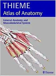 Thieme Atlas of Anatomy: General Anatomy and Musculoskeletal System , By Michael Schuenke , Lawrence M Ross MD PhD , Edward D Lamperti, Markus Voll From Thieme Medical Publishers Inc