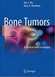 Bone Tumors Diagnosis And Therapy Medical Exam Book , By Jaime Paulos , Dominique G. Poitout , Springer From Springer Publication